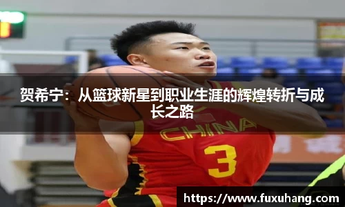 贺希宁：从篮球新星到职业生涯的辉煌转折与成长之路